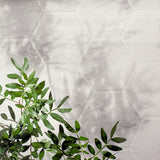 Geometric Botanicals Canvas Photography Background
