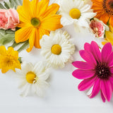 Bright Floral Bloom Canvas Photography Background