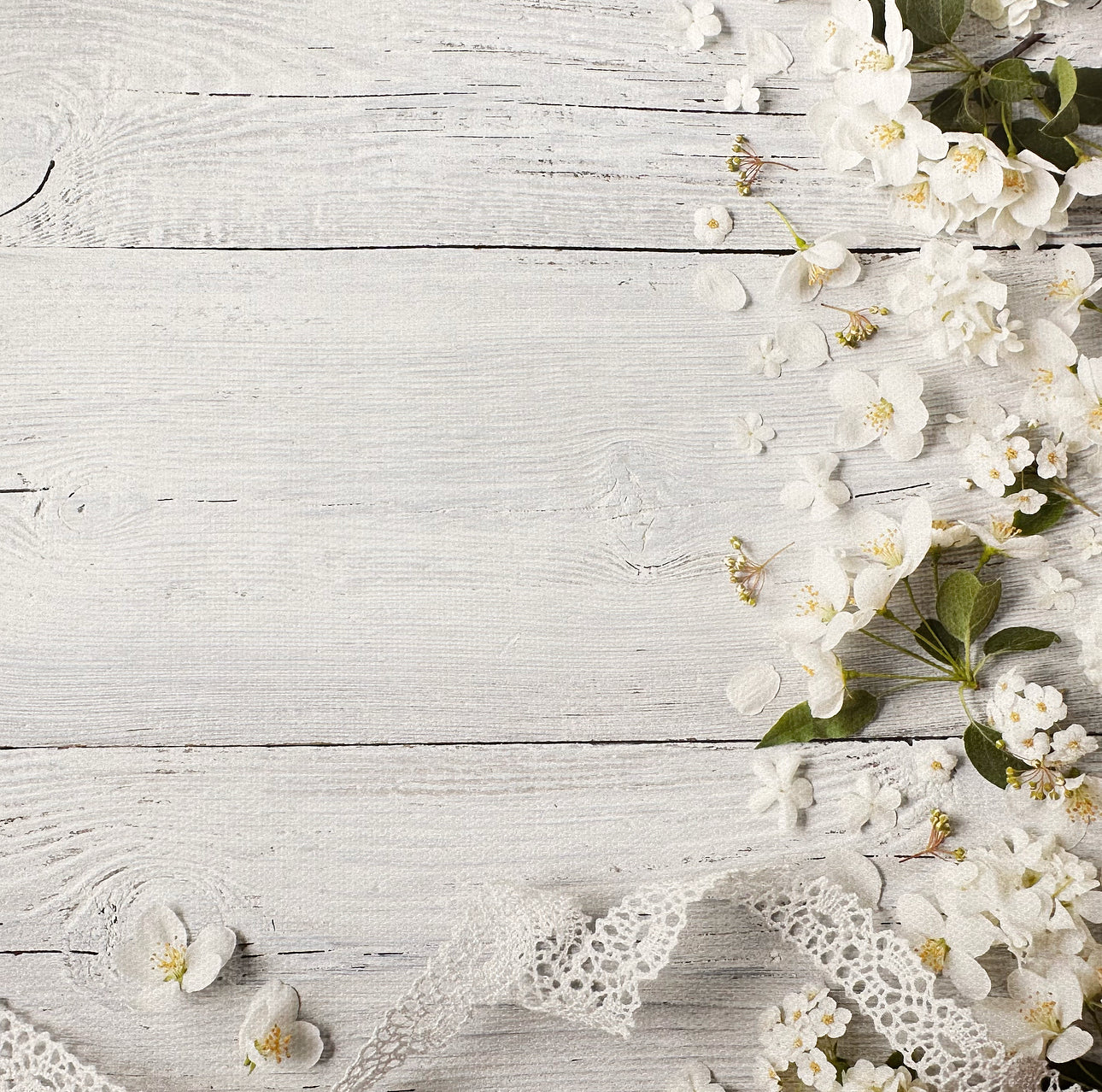 Ribbons & Flowers White Wooden Effect Canvas Photography Background - Eliza Henri