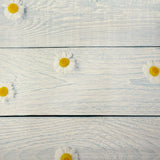 Daisy Wood Canvas Photography Background
