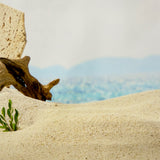Sandy Beach Canvas Photography Background