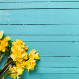 Daffodils Bright Wooden Effect Canvas Photography Background - Eliza Henri