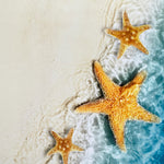 Starfish Waters Canvas Photography Background - Eliza Henri