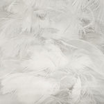 Pure White Feathers Canvas Photography Background - Eliza Henri