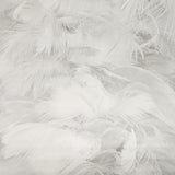 Pure White Feathers Canvas Photography Background - Eliza Henri