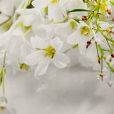Soft White Floral Canvas Photography Background
