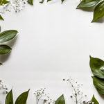 Foilage on White Canvas Photography Background - Eliza Henri