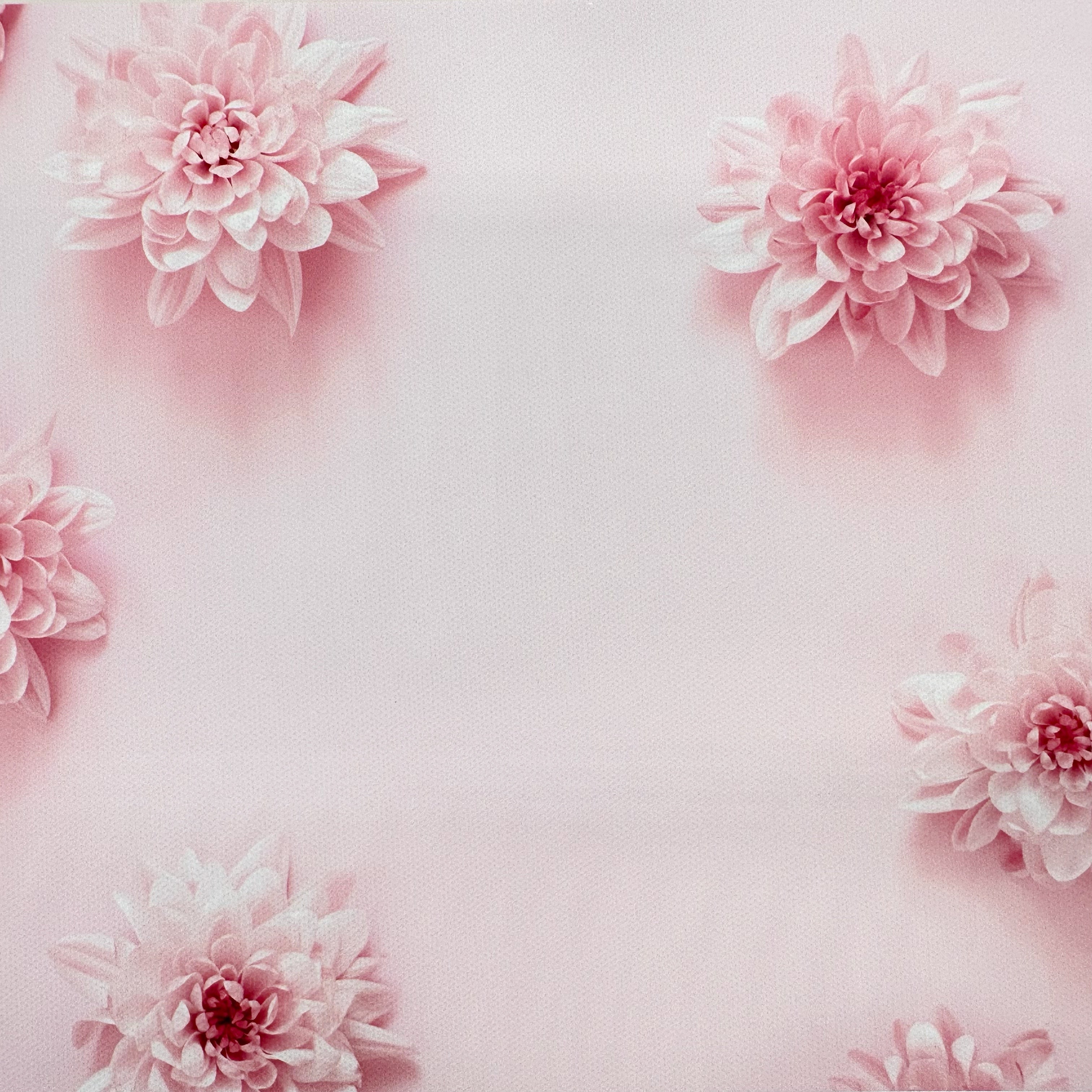 Late Bloomer Canvas Photography Background - Eliza Henri