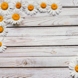 Daisy Wooden Corner Canvas Photography Background
