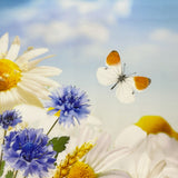 Butterfly Summer Garden Canvas Photography Background