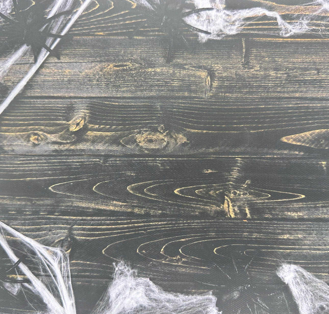 Spooky Wood Canvas Photography Background - Eliza Henri