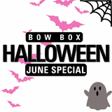 June Bow Box – The Original Monthly Bow making Subscription