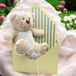 CREAM STRIPE ENVELOPE GIFT BOX - Eliza Henri