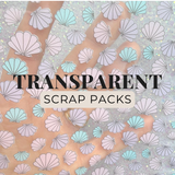 Transparent Scrap Packs- 100g