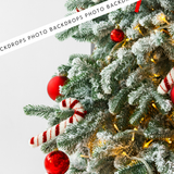 Candy Cane Christmas Canvas/PVC Photography Backdrop