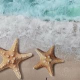 Sandy Beach Stars Canvas Photography Background