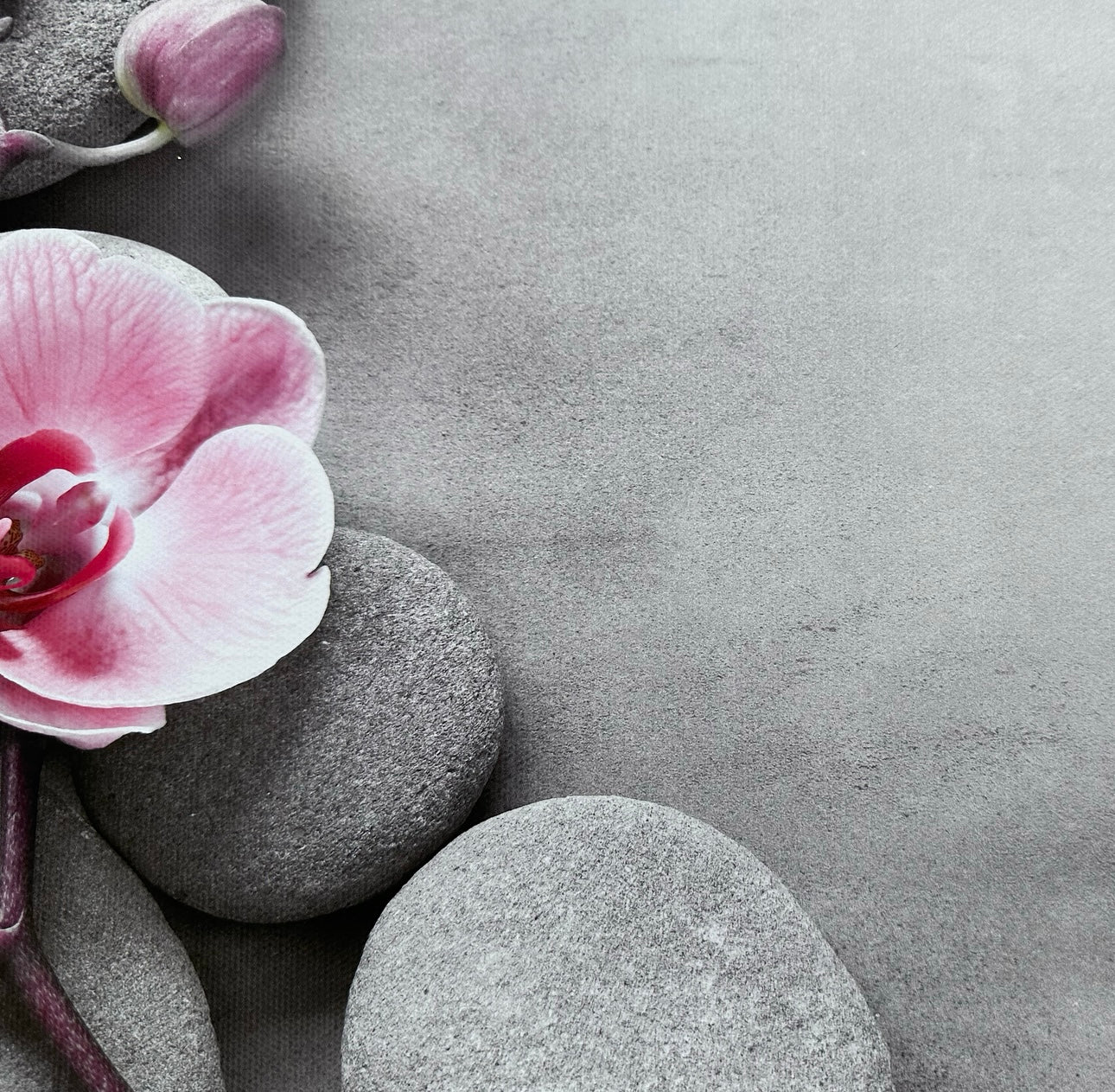 Orchard Pink & Grey Spa Stones Floral Wooden Canvas Photography Background - Eliza Henri