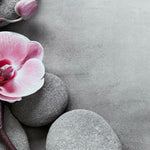Orchard Pink & Grey Spa Stones Floral Wooden Canvas Photography Background - Eliza Henri