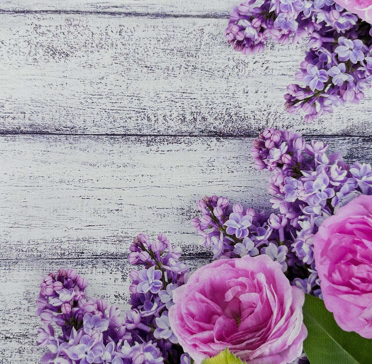 Lilac & Pink Rose Floral Wooden Canvas Photography Background - Eliza Henri