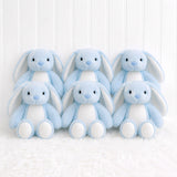 Bulk Packs- Mumbles Blue Bunny- Pack of 6
