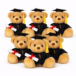 Wholesale teddy bears in graduation outfits with caps and gowns on a white background