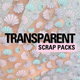 Transparent Scrap Packs- 100g
