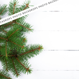Evergreen Dreams | Canvas/PVC Photography Backdrop
