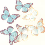 Butterfly Wing 3D Embellishments - Eliza Henri Craft Supply