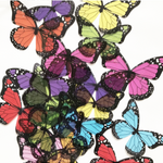 Butterfly Wing 3D Embellishments - Eliza Henri Craft Supply