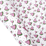 EH Sweet Watermelon Daze Lux Premium Canvas Bow Fabrics