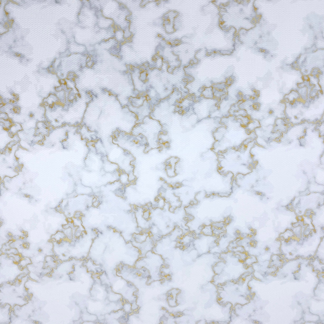 Marble White & Gold Canvas Photography Background - Eliza Henri