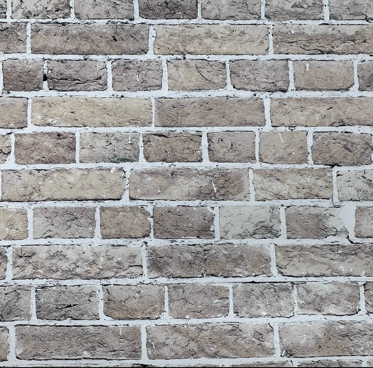 Brick wall Effect Canvas Photography Background - Eliza Henri