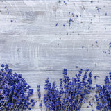 Lavender Border Wooden Canvas Photography Background - Eliza Henri