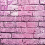Candy Pink Brick Wall Effect Canvas Photography Background - Eliza Henri
