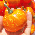 Small Foam Pumpkins 5.5 cm - Eliza Henri
