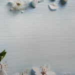 Lillies Pale Blue Wooden Effect Canvas Photography Background - Eliza Henri